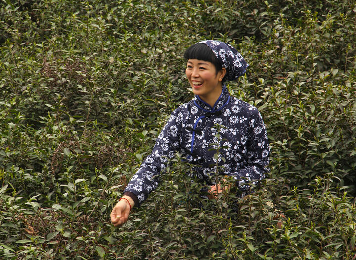 深夜蜜语